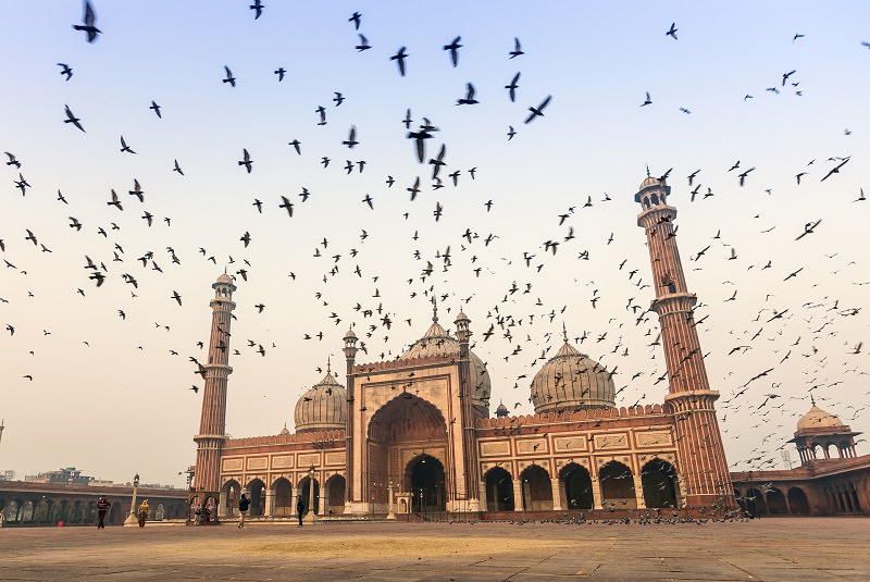 مسجد جامع دهلی | Jama Masjid
