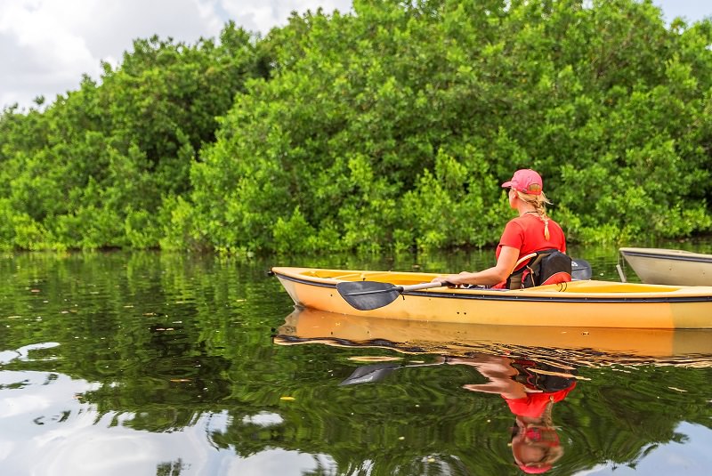 Everglades, USA