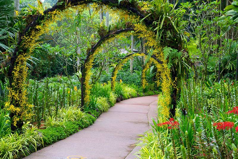 باغ گیاهشناسی سنگاپور