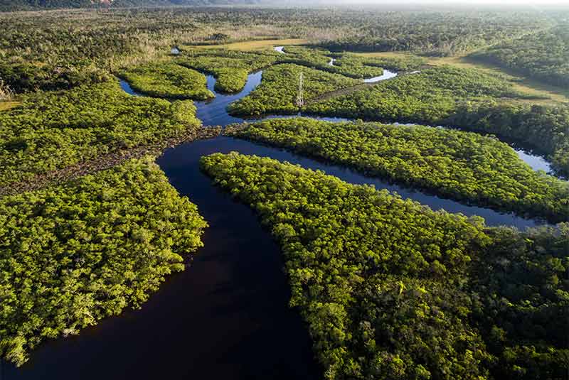 رودخانه آمازون