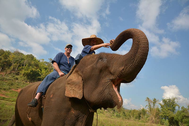 فیل سواری در چیانگ مای