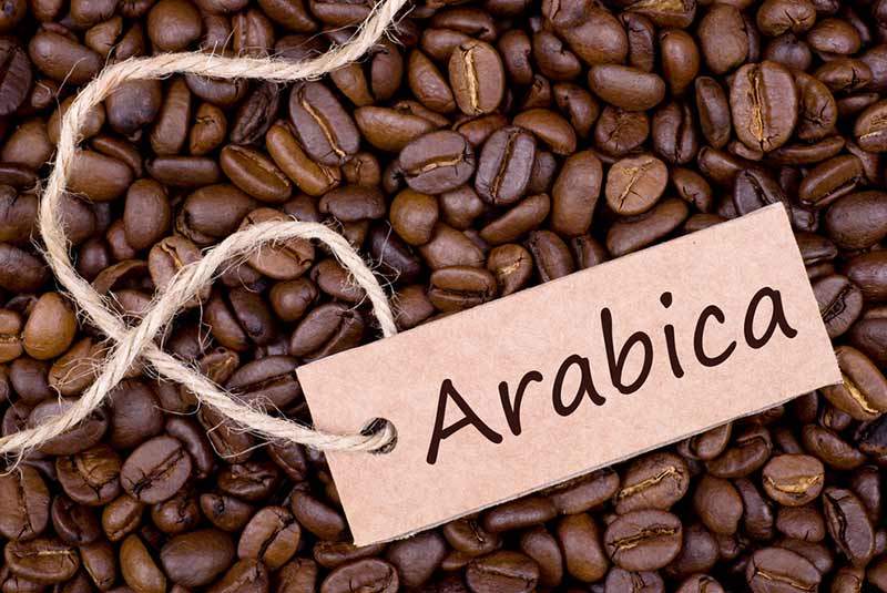 قهوه عربیکا