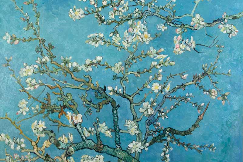 شکوفه‌های بادام - معروفترین آثار ونگوگ