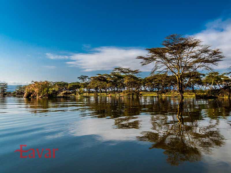 دریاچه نایواشا کنیا