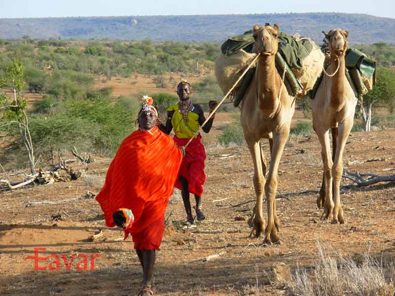 صحراگردی در بیابان ماسای مارا