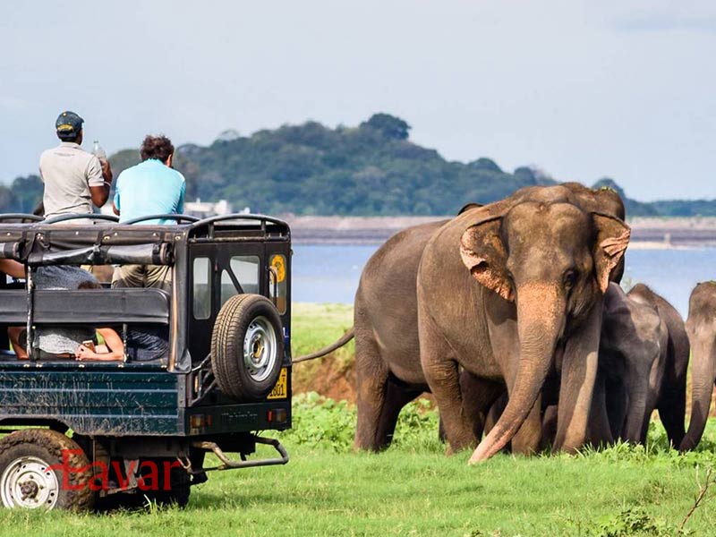 پارک ملی یالا سریلانکا