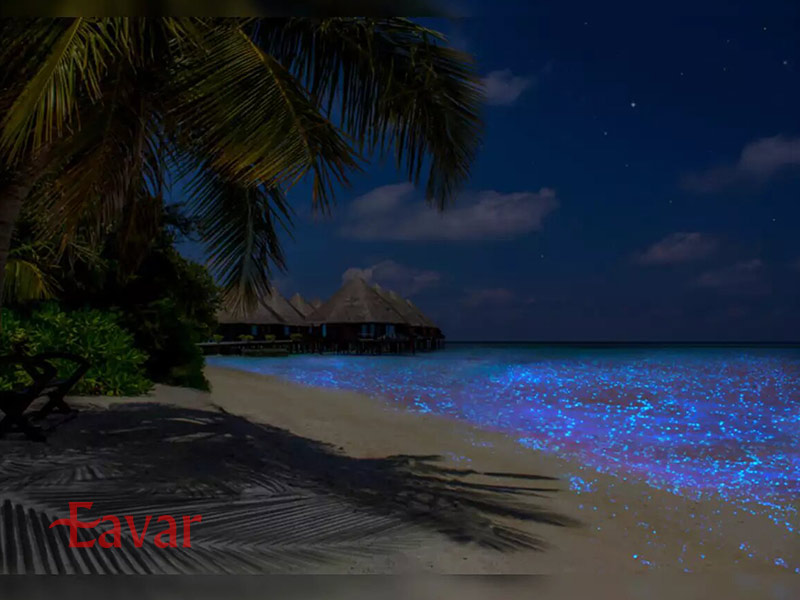 جزیره وادهو، سفر به ساحلی با نورهای آبی