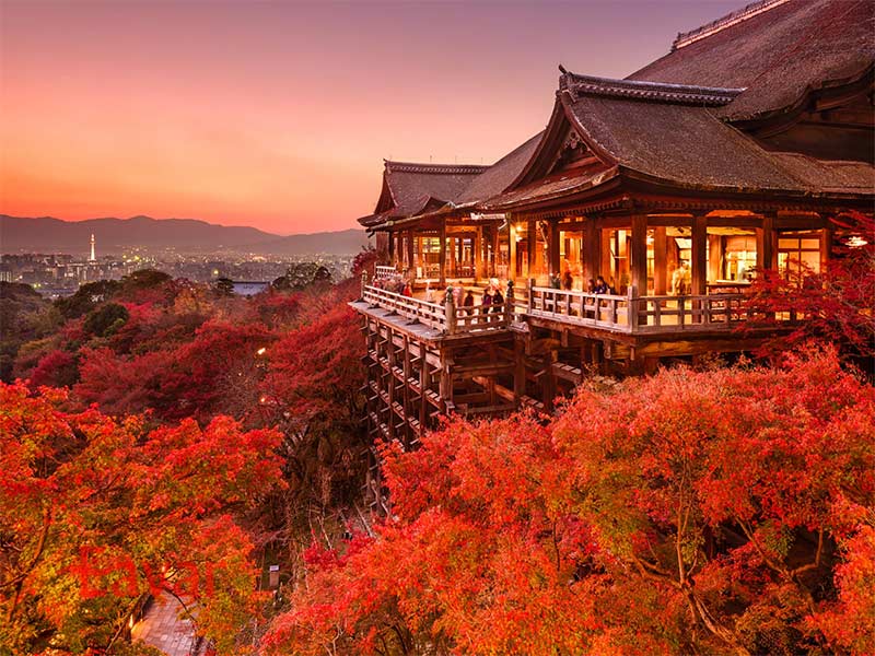 معبد آب زلال کیومیزودرا (Kiyomizu-Dera)