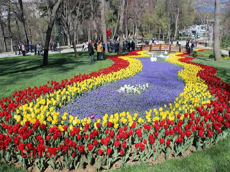 فستیوال لاله‌ها  (Tulip Festival) استانبول