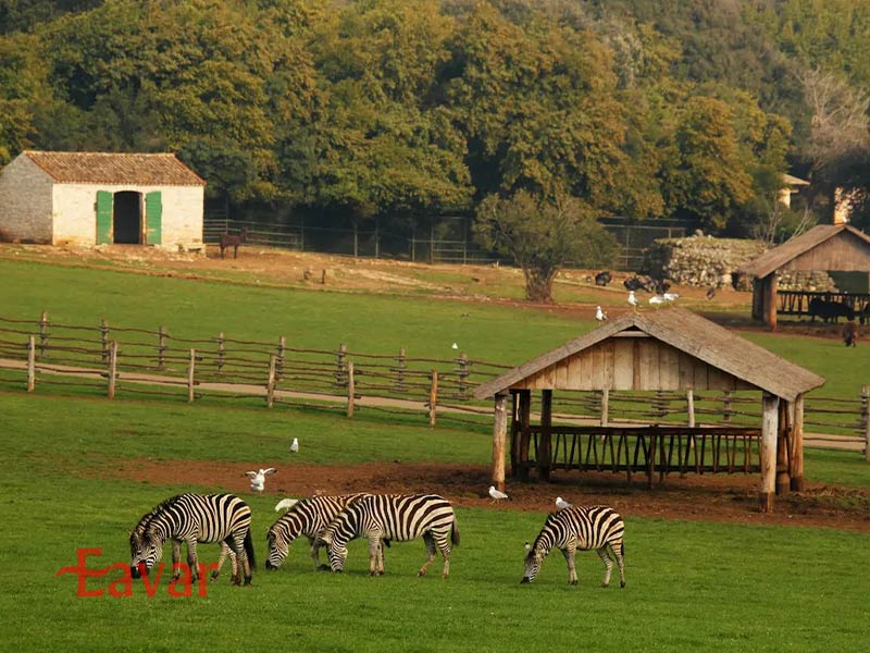 حیات وحش پارک ملی بریونی کرواسی