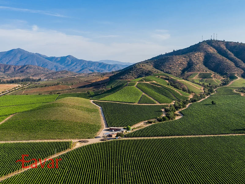 دره کاسابلانکا شیلی