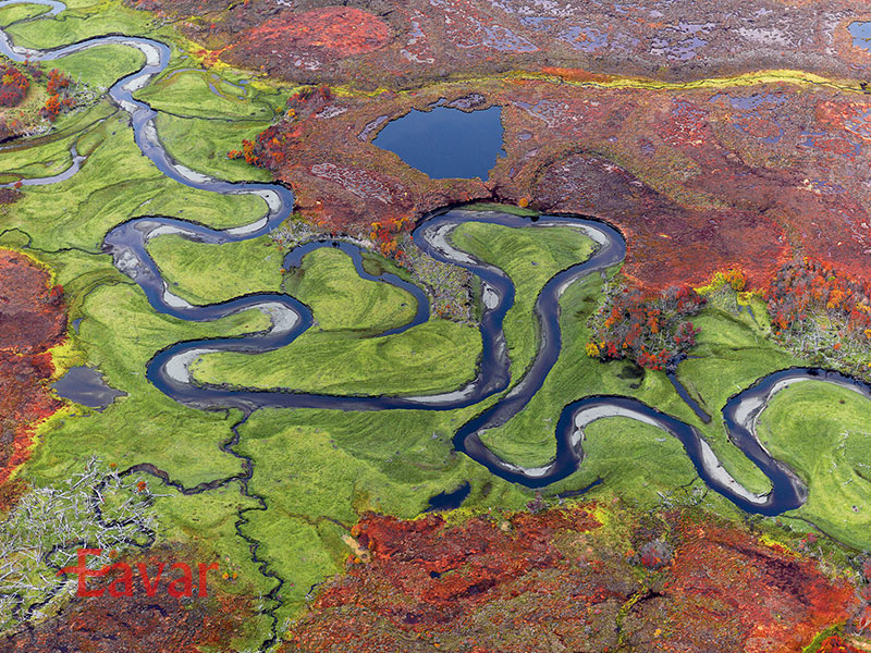 پارک ملی یندگایا از پارک های ملی شیلی