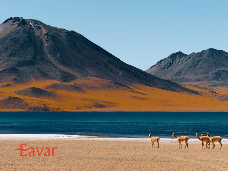 بیابان آتاکاما از مهمترین مکان های دیدنی شیلی