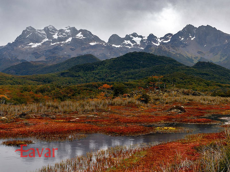 پارک ملی کاروکینکا شیلی