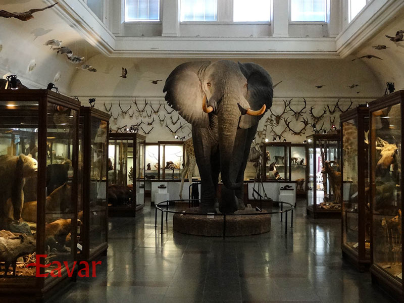 موزه تاریخ طبیعی سوئد، استکهلم