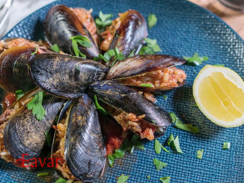 میدیه دولما ترکیه