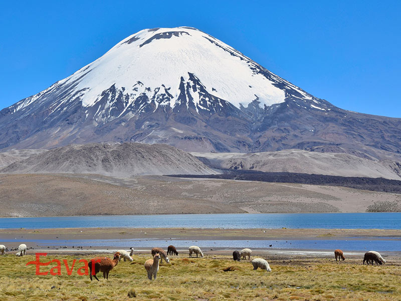 پارک ملی لائوکا درشیلی