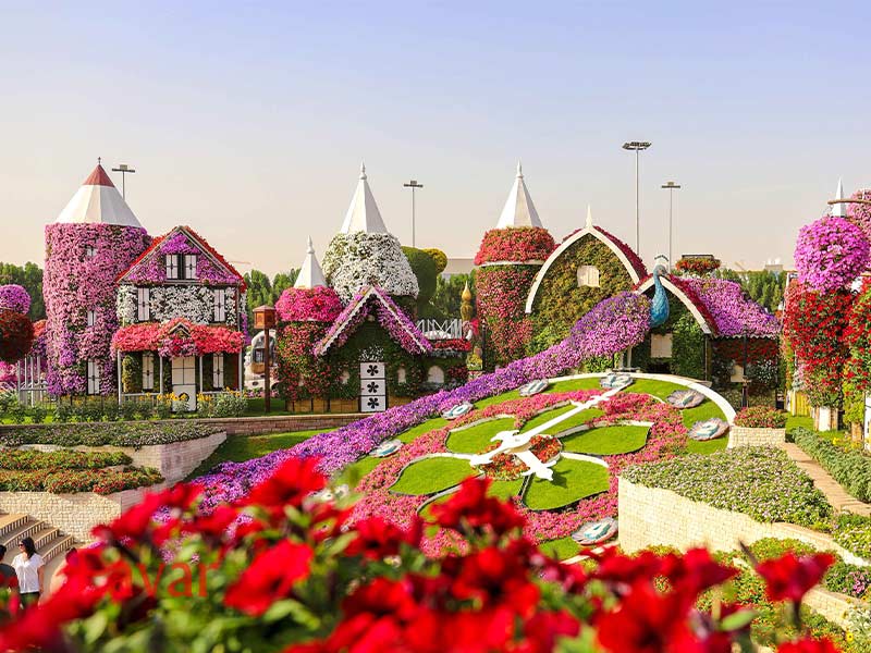 ساعت گل از جاهای دیدنی باغ معجزه دبی