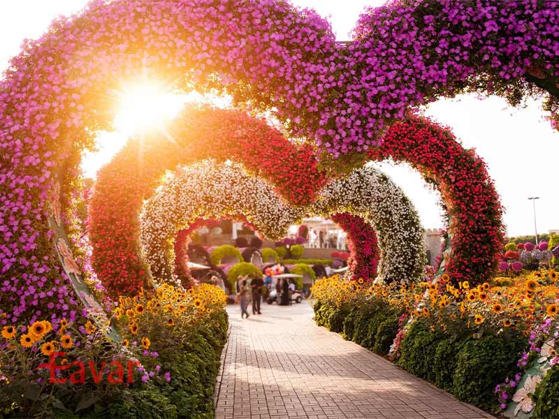 گذرگاه قلبی از جاذبه های باغ گل دبی
