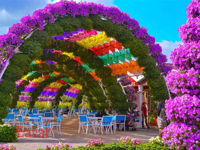 گذرگاه چتری از دیدنی های باغ گل دبی
