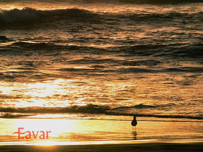 سواحل لا سرنا از سواحل شیلی