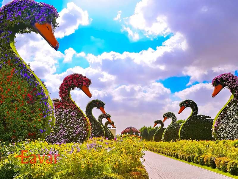 قیمت بلیط باغ گل معجزه دبی