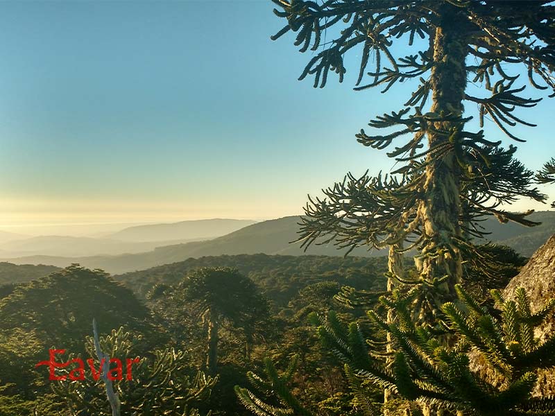 پارک ملی ناهوئل بوتا شیلی