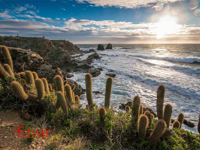 سواحل پونتا د لوبوس از سواحل شیلی