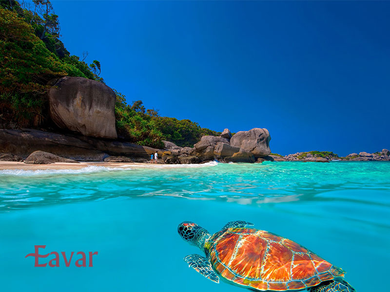 جزایر سیمیلان از نقاط غواصی در تایلند