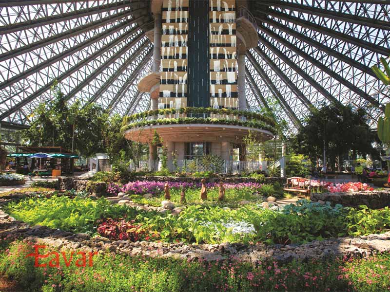 باغ گیاه شناسی یئومیجی از دیدنیهای ججو