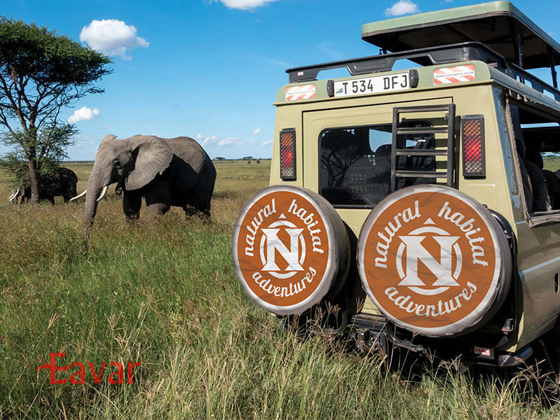 ماشین سافاری چیست