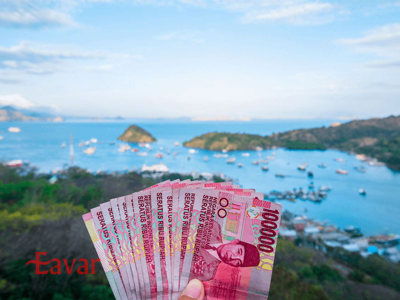 واحد پولی بالی