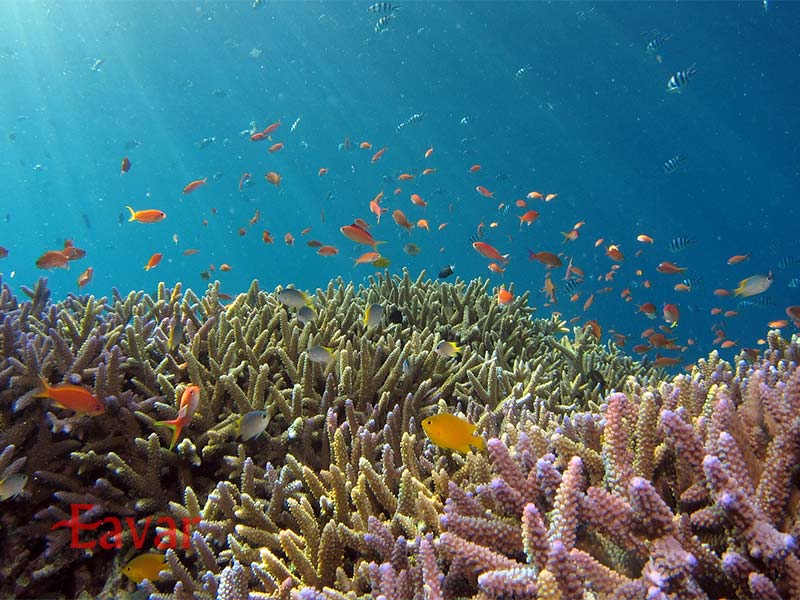 هزینه تفریحات بالی