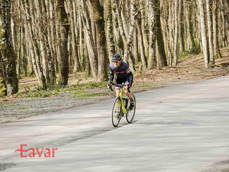 جنگل بلگراد از جاهای دیدنی اطراف استانبول