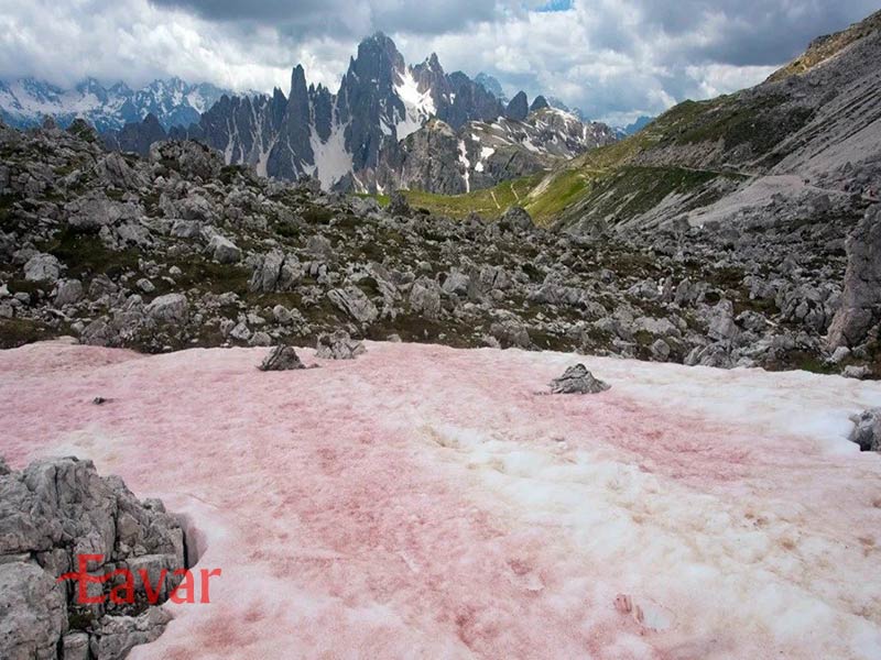 باران های مشهور خون