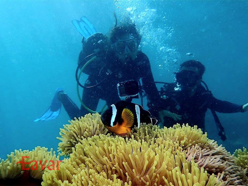 پارک دریایی خلیج آبی از دیدنیهای موریس