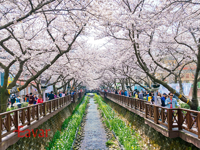 پارک شهروندان بوسان