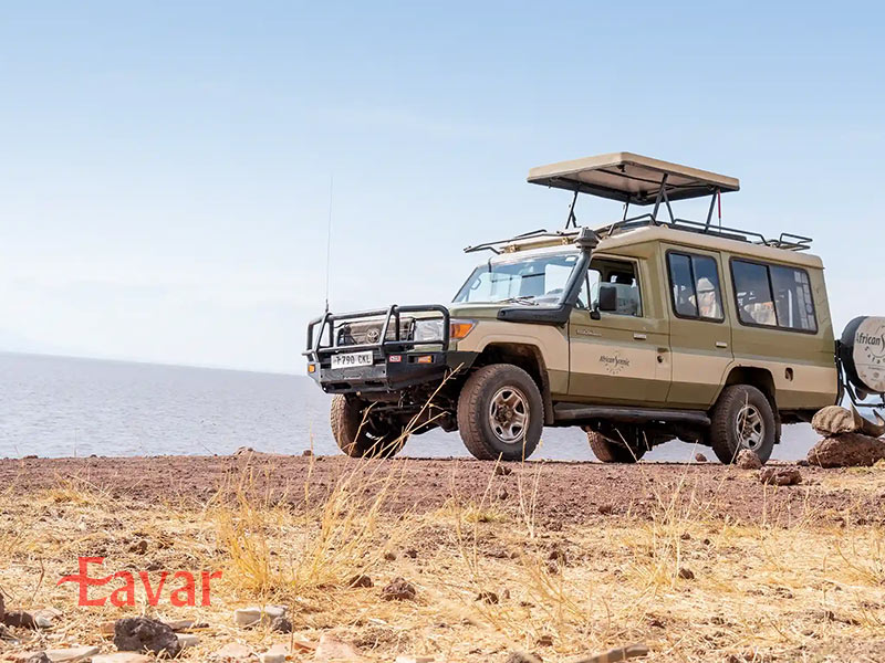 سافاری با ماشین