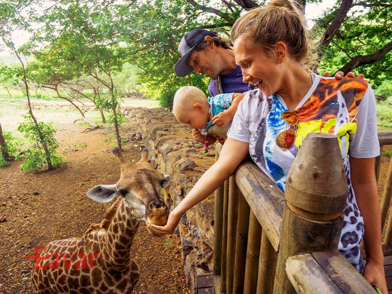 دنیای ماجراجویی کازلا از جاهای دیدنی موریس