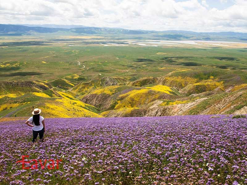 دره کویاما از مقاصد طبیعی کالیفرنیا