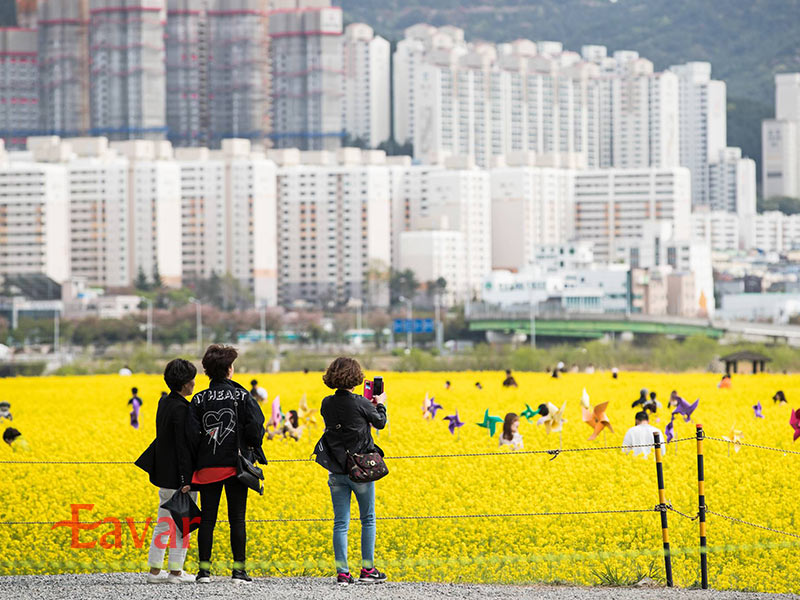 پارک اکولوژیکی دایژئو بوسان