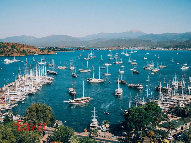 مارینا فتحیه