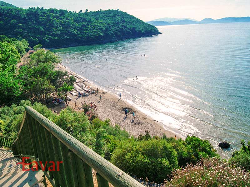 گوزل چاملی از دیدنیهای طبیعی کوش آداسی