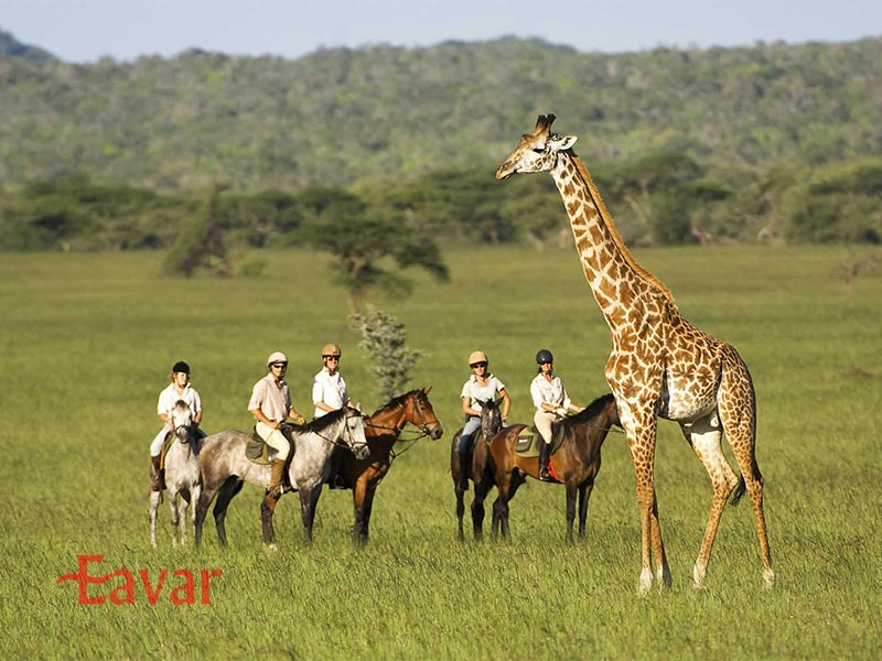 سافاری با اسب از انواع سافاری