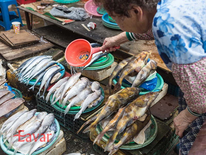 بازار ماهی جاگالچی از جاهای دیدنی بوسان