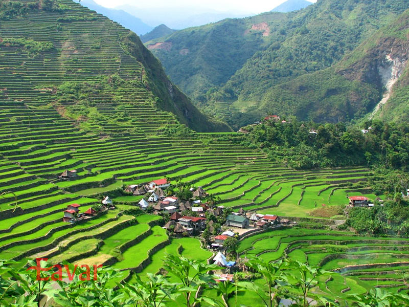 شالیزارهای پلکانی بانائو فیلیپین