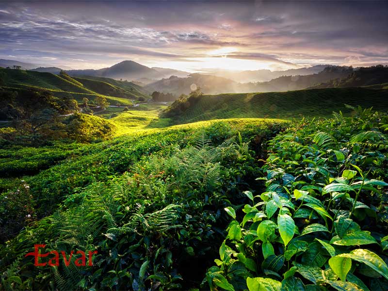 سفر به مالزی در پاییز