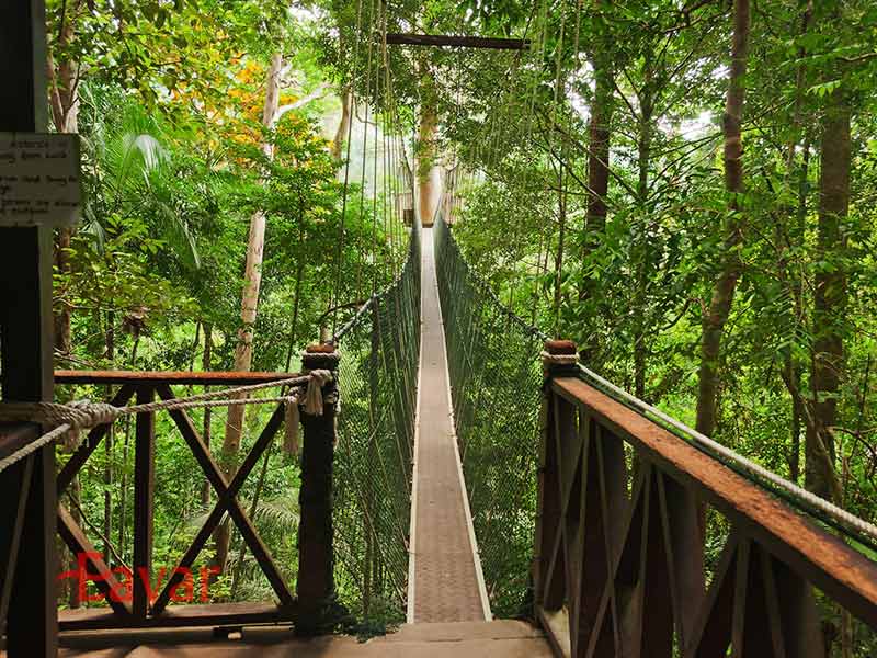 بهترین زمان طبیعت گردی مالزی در تابستان