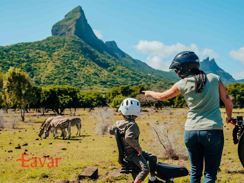 سافاری در موریس