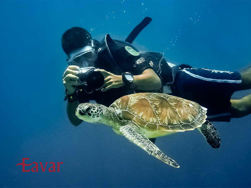 هزینه تفریحات در موریس